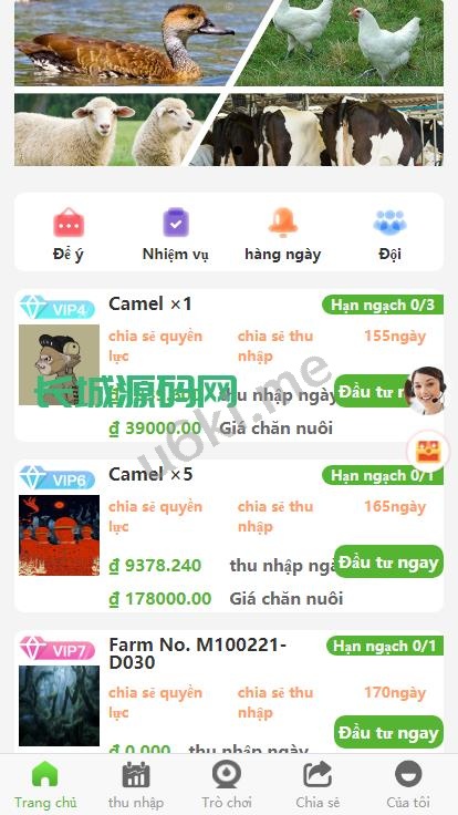 [最新]新版多语言/二开版海外投资理财系统/任务图推广注册奖励/投资理财源码系统源码