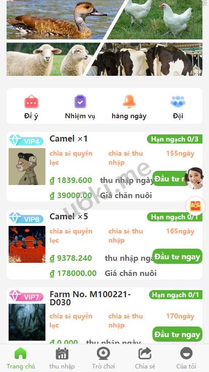 新版多语言 二开版海外投资理财系统 任务图推广注册奖励 投资理财源码